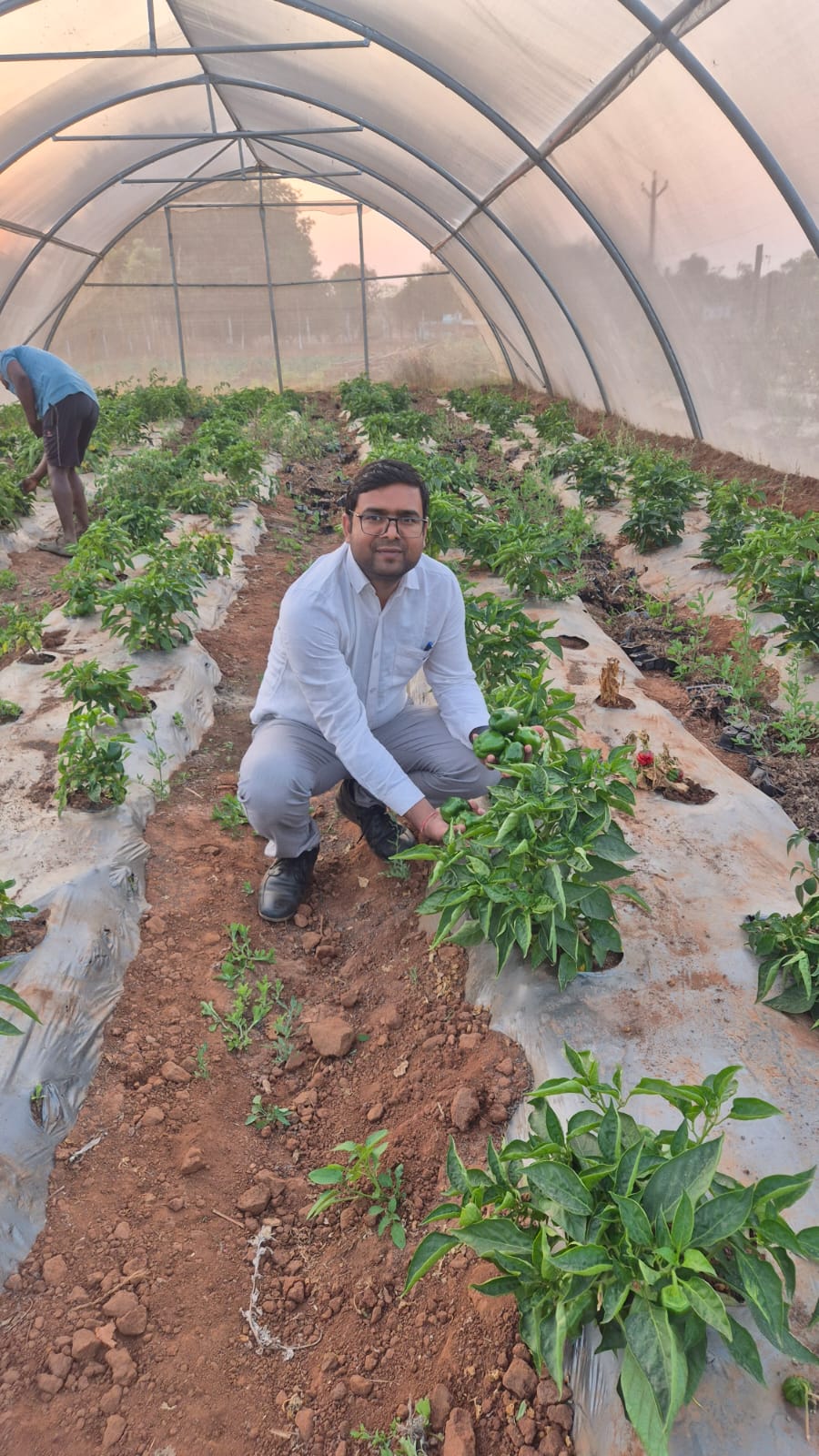 district_press Release