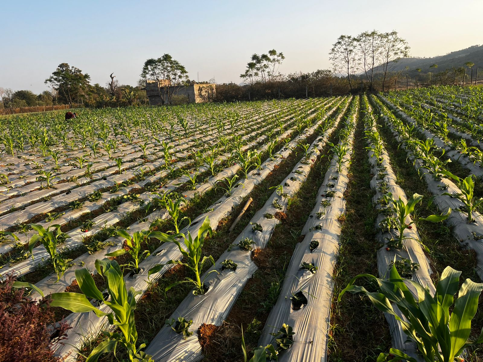 district_press Release